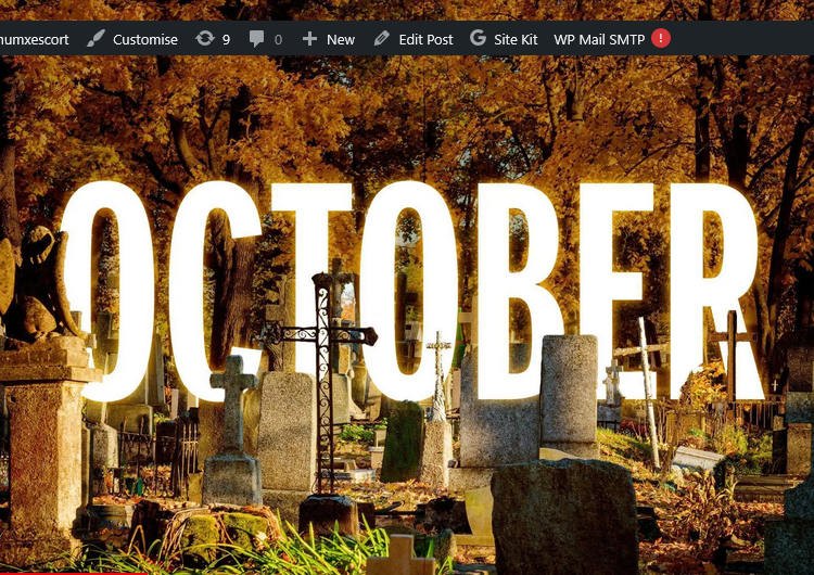 Events in London October 2024